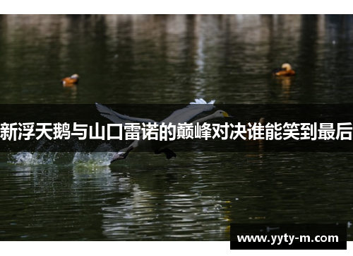 新浮天鹅与山口雷诺的巅峰对决谁能笑到最后